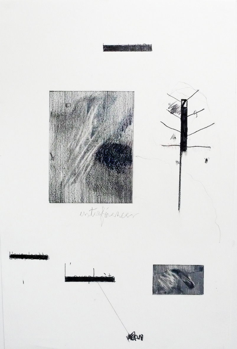 "Interférences" (série), graphite et crayon de couleur sur papier, 31 x 47 cm, 2019