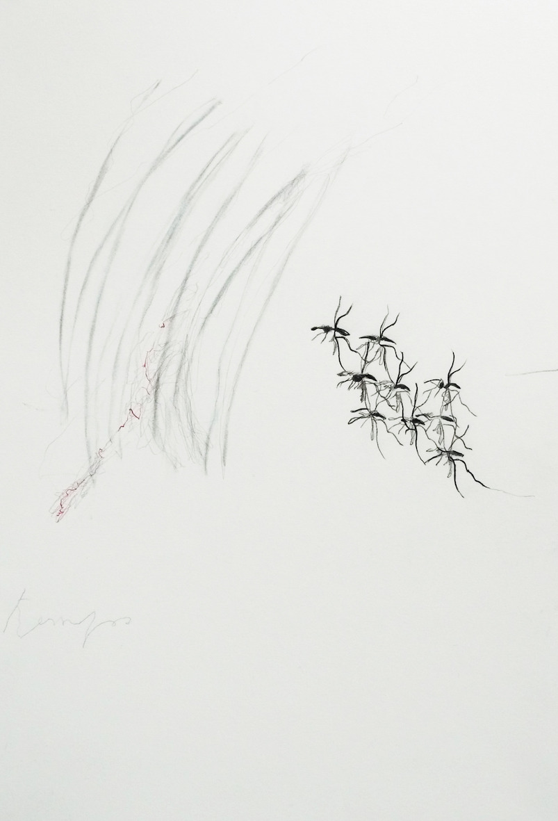 "Interférences" (série), crayons sur papier, 31 x 47 cm, 2019