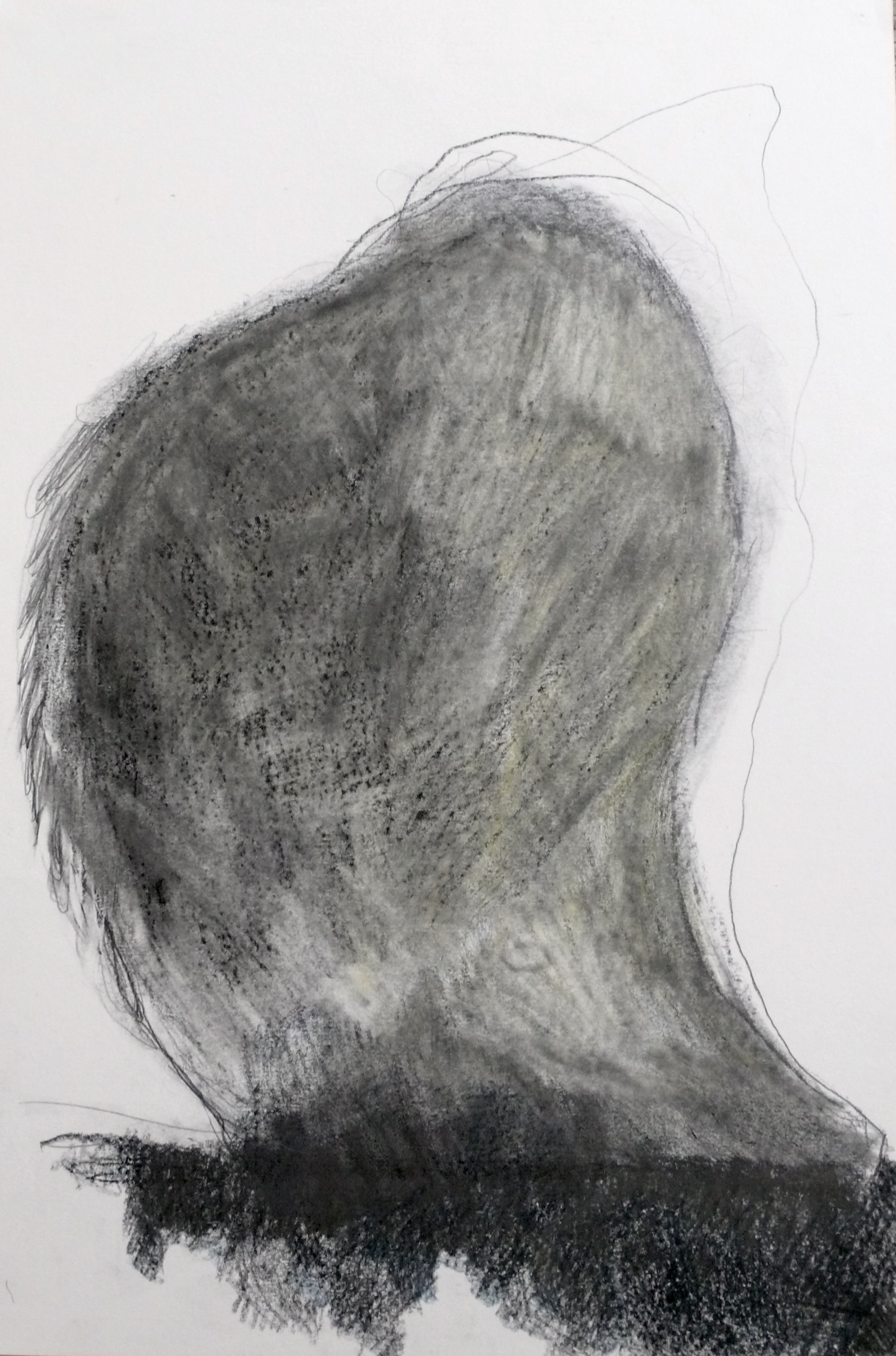 The Shape, Technique mixte sur papier 31 x 47 cm, 2019