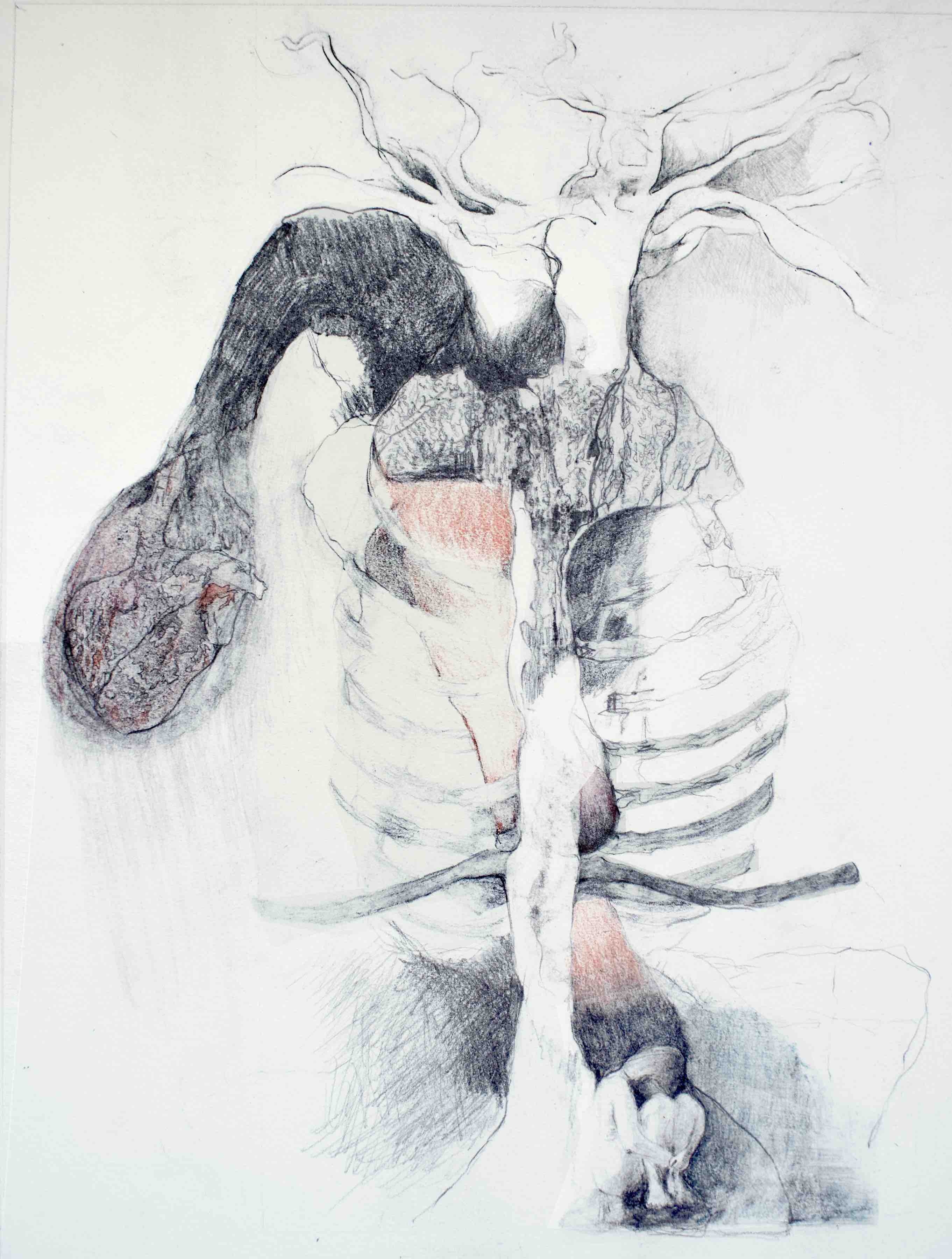 À l'ombre sous une clavicule, Crayons sur papier; 50 x 40 cm, 2022