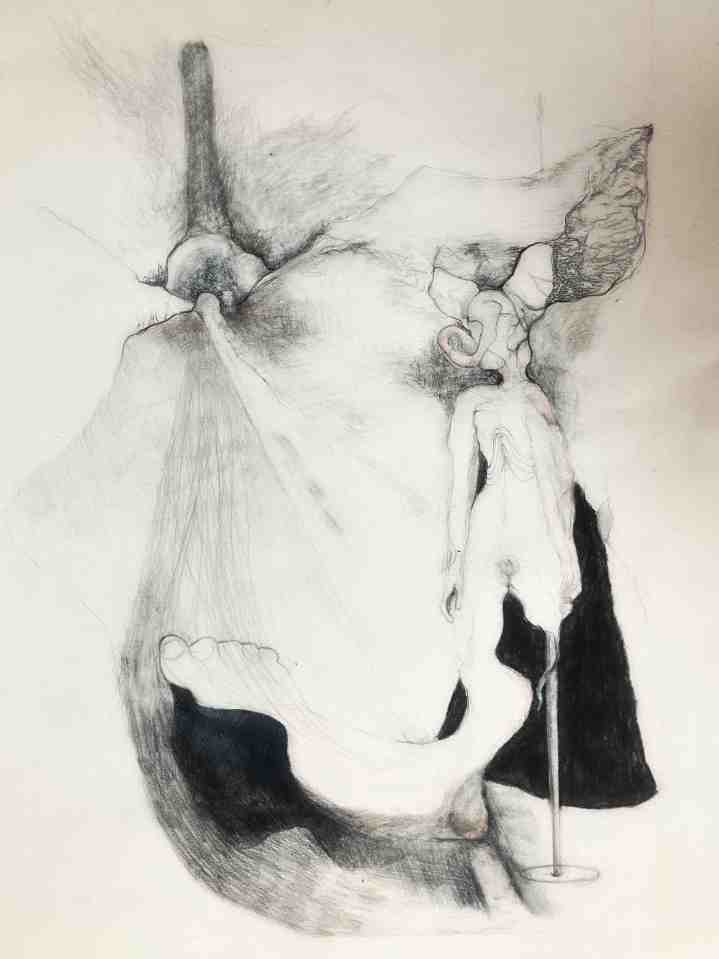 "Le Chemin de l'exil ", crayons sur papier Arches, 50 x 40 cm, 2022