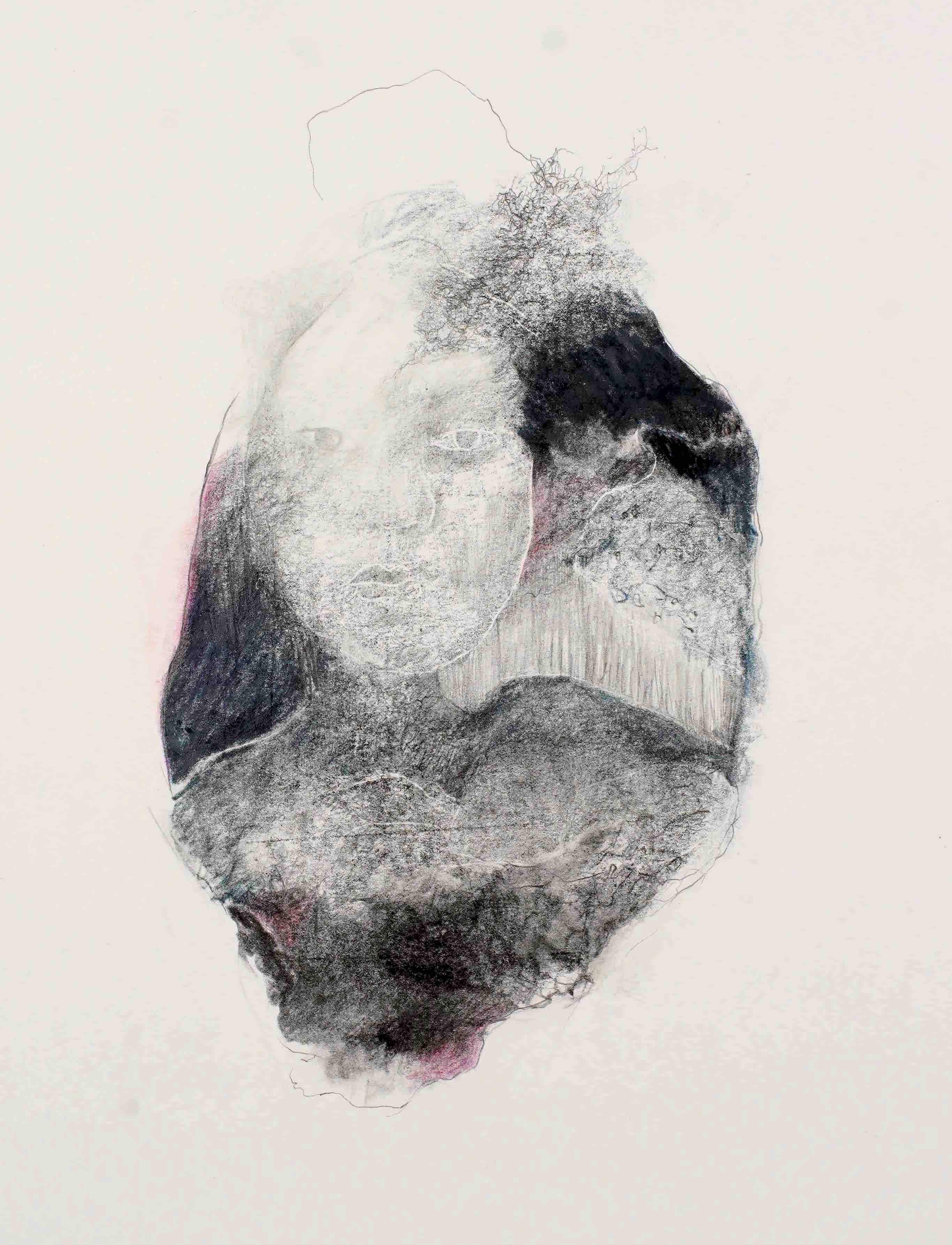 "Les Pierres civières" (Holobionthe), 2023, Crayons sur papier, 40 x 30 cm