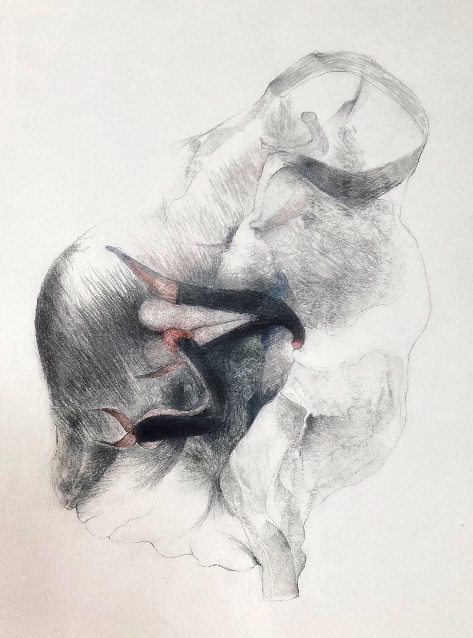 "Sans titre", 43 x 32 cm, crayons sur papier, 2023